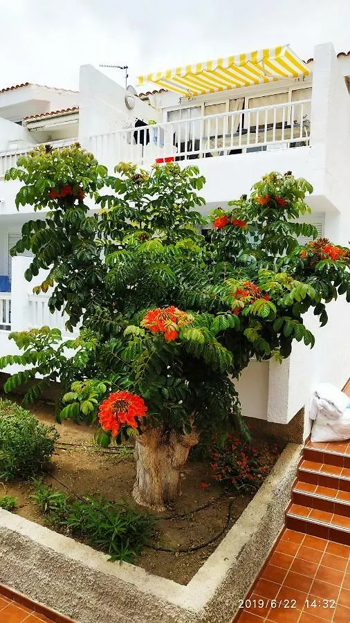 Appartamento Club El Paradero Playa de las Americas